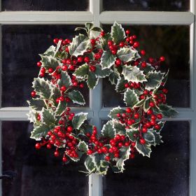 Hollyberry Wreath 40cm